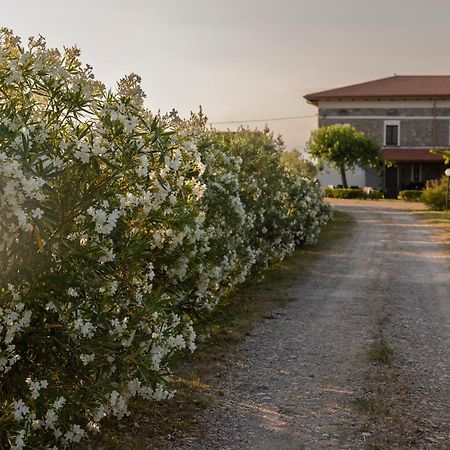 Agri Charme Tenuta Picilli Albanella Exterior foto